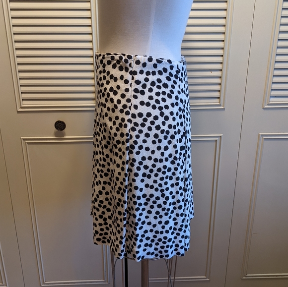 Polka Dot Skirt - Picture 2 of 6